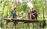 Jungle platform (Machan)