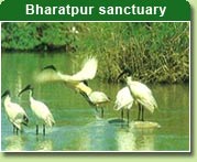 Ghana Bird Sanctuary
