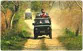 Jeep Safari 