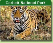Corbett National Park