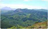 Eravikulam National Park, Munnar