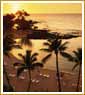 Colourful Rajasthan with Golden Beaches of Goa