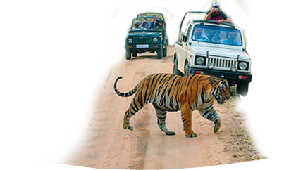 Jeep Safari