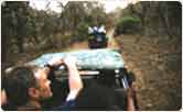 Jeep Safari, Kanha National Park
