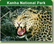Kanha National Park