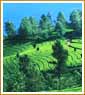 Enchanting Kerala - God's Own Country