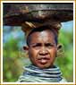 Standard Orissa Tour