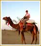 Rajasthan Colourful Heritage Tour