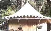 Tents at The Ranthambhore Bagh