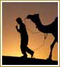 Simply Rajasthan