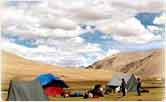 Gyamar Camp, Ladakh
