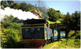 Train at Ooty