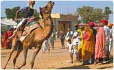 Pushkar Fair