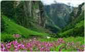 Valley of Flowers, Himalayas