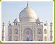 Taj & Tiger