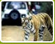 Corbett Adventure Package